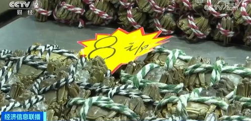 金華正大量上市，價(jià)格大跳水！水產(chǎn)品批發(fā)需注意這些問(wèn)題