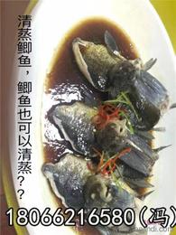 探尋可靠的水產(chǎn)品批發(fā)貨源 保障供應(yīng)鏈的穩(wěn)定與品質(zhì)